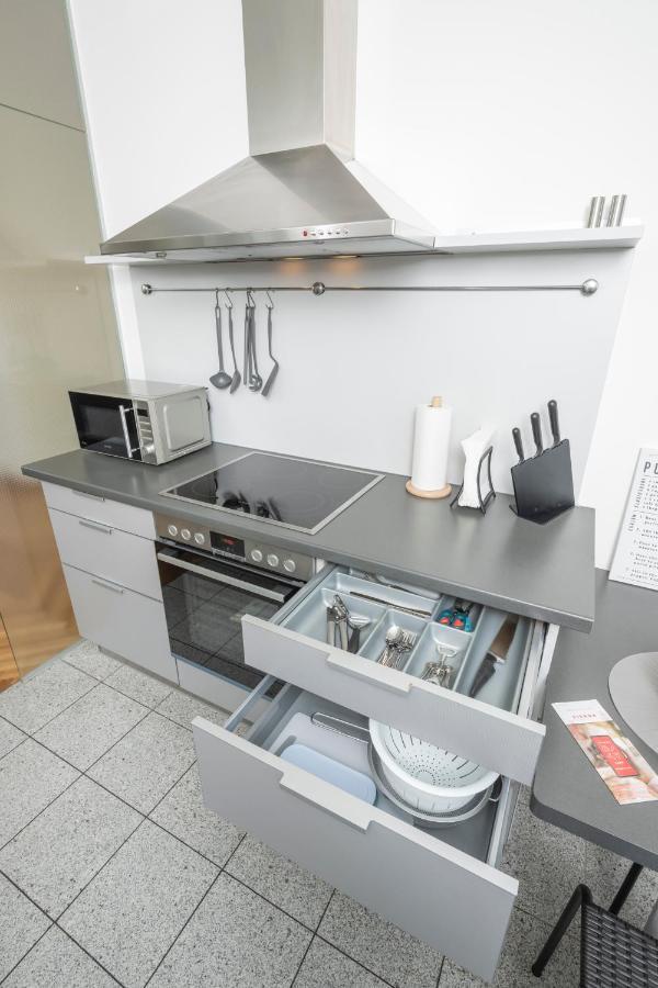 Penthouse Staatsoper Apartment Vienna